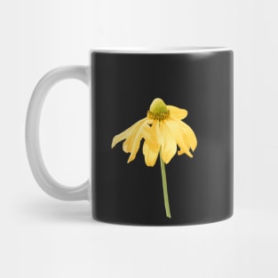 Yellow Flower Rudbeckia Lacinata Mug